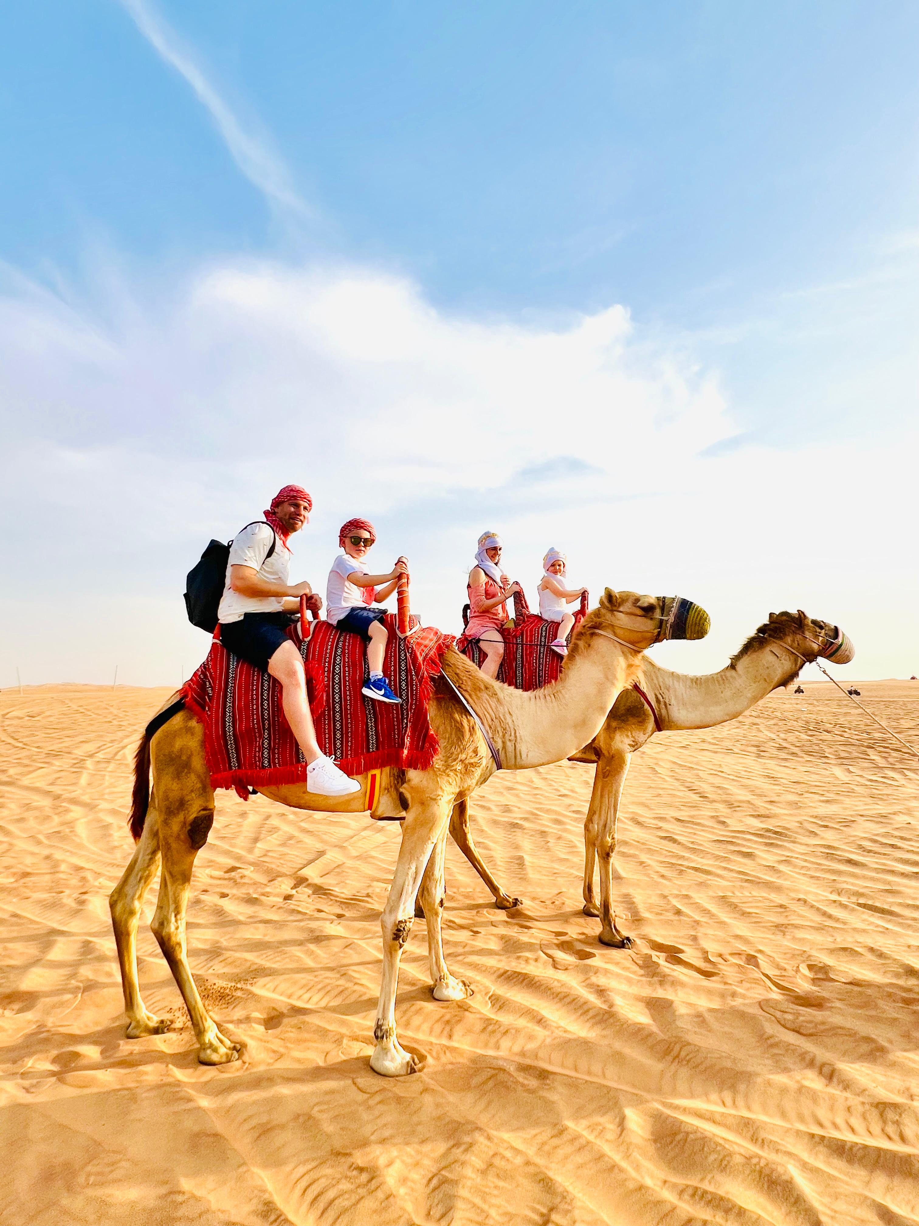 Dubai 4-Day Custom Tour Package — photo 1