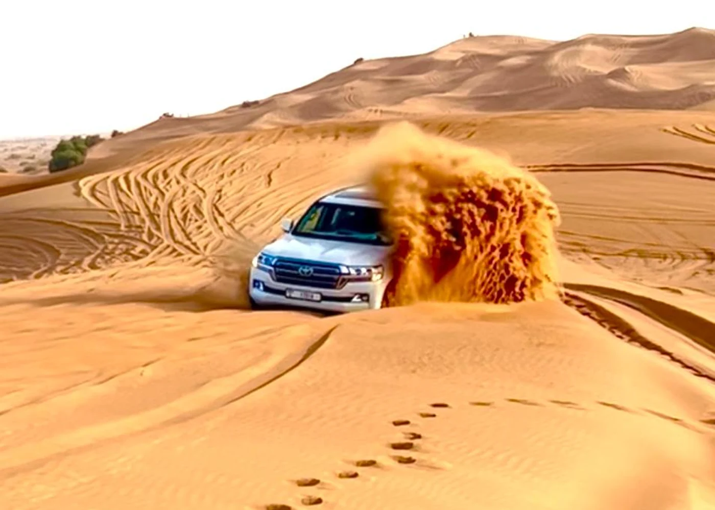 Private Desert Safari — photo 2