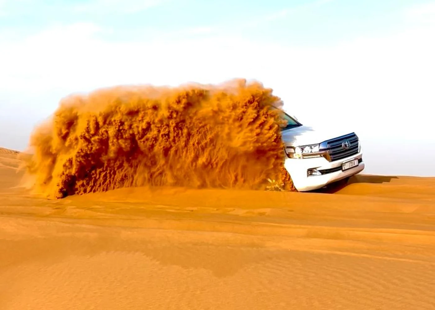 VIP Desert Safari (Premium Package) — photo 5
